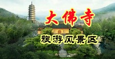 有免费操逼视频网战中国浙江-新昌大佛寺旅游风景区